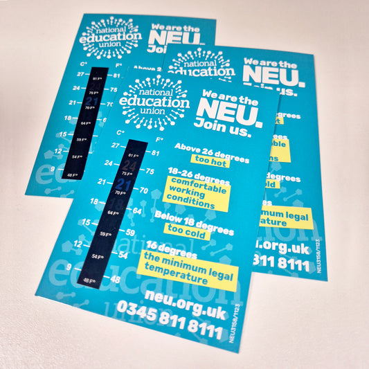 Thermometer (Pack of 10)